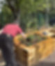 Man gardening a raised bed