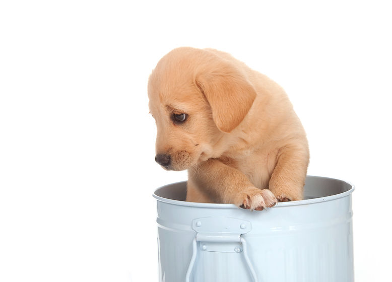 iStock-147338604.jpg
