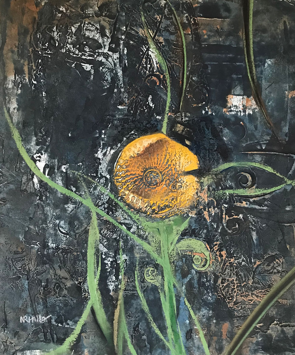 Yellow-Horned Poppy