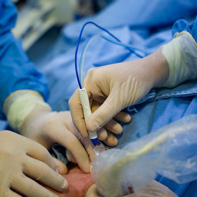 WhatsApp Image 2025-06-28 at 17.20.43.jpeg