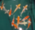 PXL_20230506_114855399