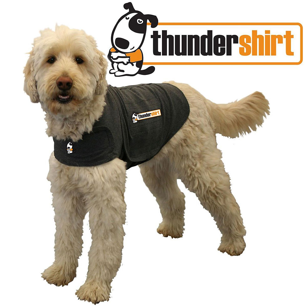 Thundershirt, Grå, L (19-29 kg)