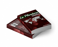 Display of the book La plandemie COVID-19, written by Cherlin Simon, available to readers.