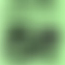 【9月13日】 3の付く日はヒシサンホーマポイント5倍!