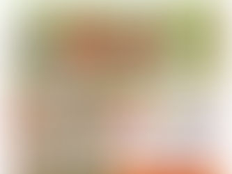 【11/4】ヒシサンホーマからのご案内