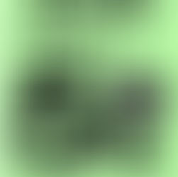 【3月10日】 3の付く日はヒシサンホーマポイント5倍！