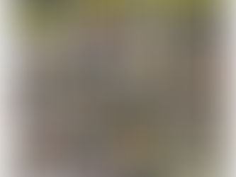 【11/25】ヒシサンホーマからのご案内