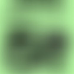 【8月29日】 3の付く日はヒシサンホーマポイント5倍!