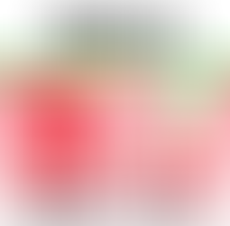 【4/4】LINE会員限定お得なクーポン配信中!