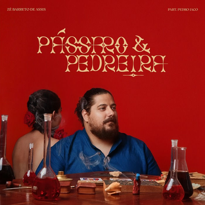 Capa da canção “Pássaro e Pedreira”