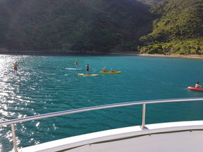 received_117376620279101 (1).jpeg