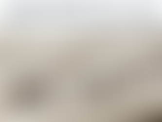 100 Χρόνια Ιστορίας: 5 Αλήθειες για την Ελληνική Εφημερίδα της Πόλης που Άντεξε στον Χρόνο