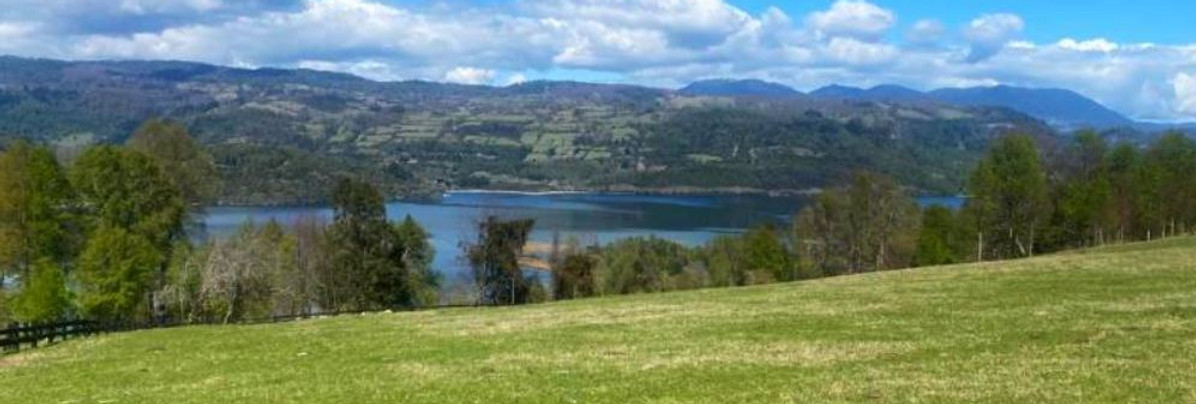 panguipulli 5.JPG