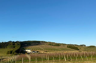 IMG-20220620-WA0018(1).jpg