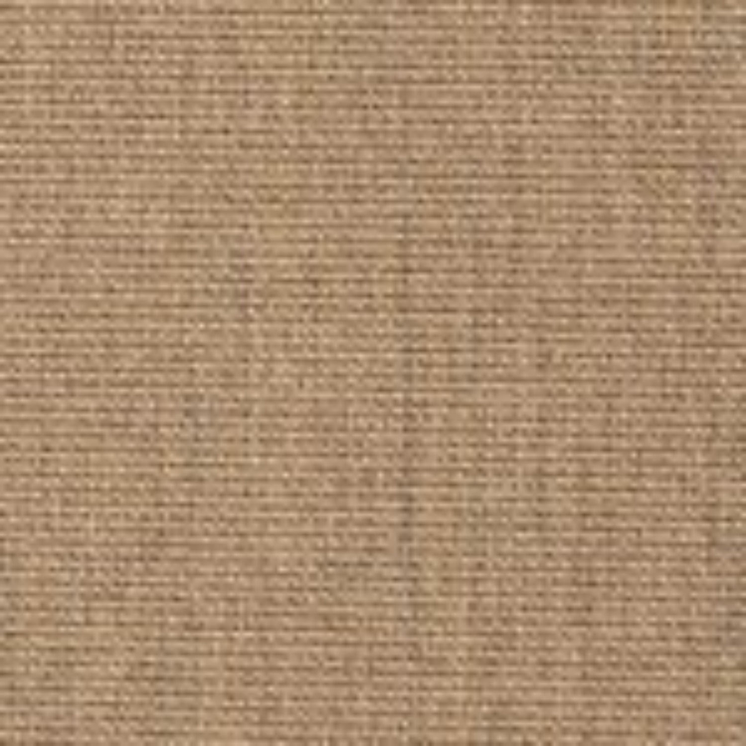 TEMPOTEST 120 CAMEL 03