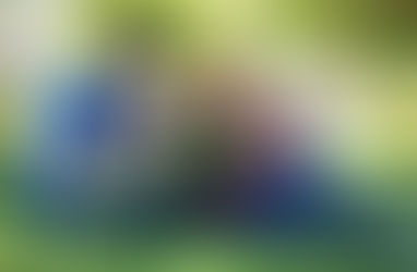 🌟【英語学習に必要なスキル⑨】英語を毎日続ける習慣化スキル~三日坊主を防ぐコツ~