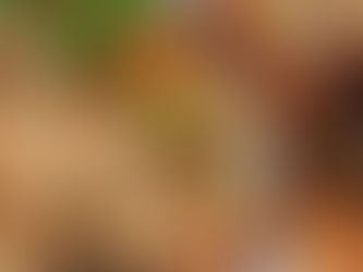 子どもたちと英語でふれあい♪ Re:Frameの「こども食堂」で英語教室を開催しました！