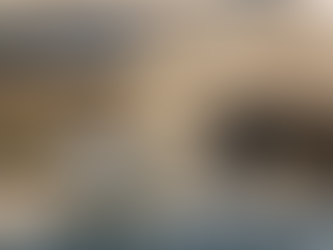 Critique1 Blog Post