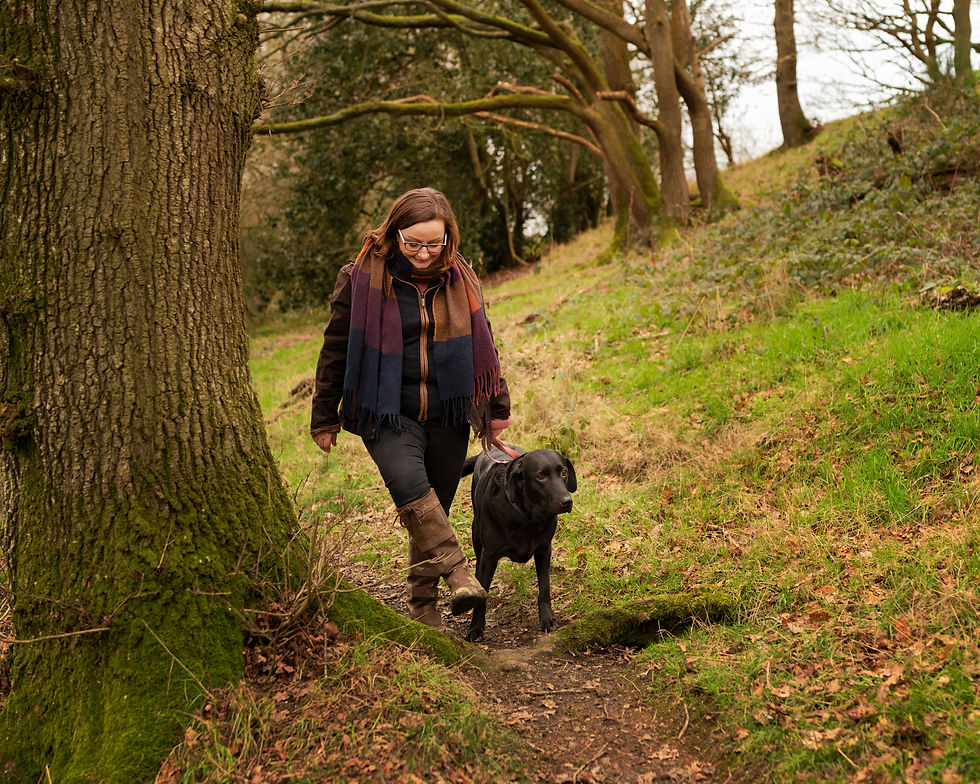 dog behaviour consultant in shropshire training your dog in loose lead walking