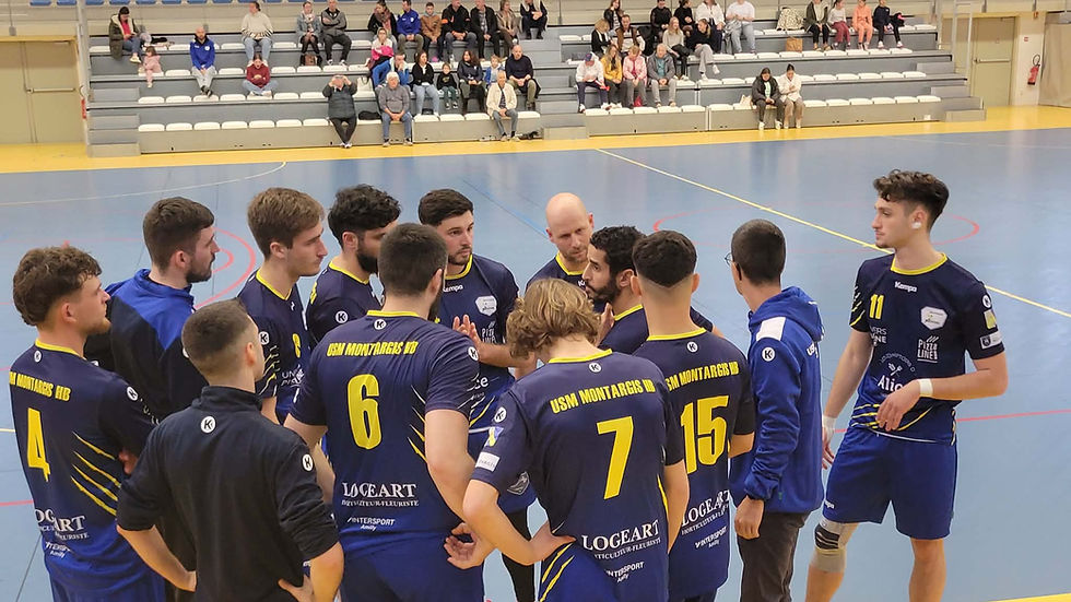 Les handballeurs montargois fêteront la montée ce samedi soir devant leur public. Photo : DR.