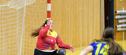 Handball - N2 : Montargis - Rosières-Saint-Julien, ce samedi, sous le signe d’Octobre rose