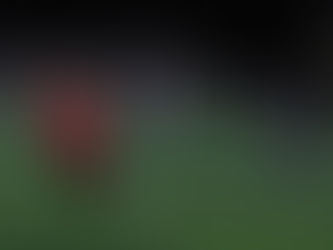 Football - Coupe du Loiret : Montargis en réussite à Ingré, le FC Mandorais a eu chaud face à l'US Châlette