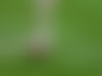 Football - Coupe du Centre : US Beaune/Corbeilles - US Cepoy/Corquilleroy arrêté à la 78e minute