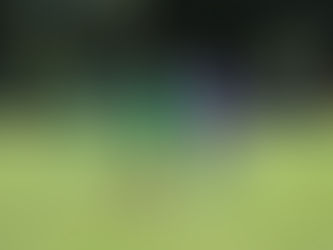 Football : l’US Turcs Châlette, seule rescapée des clubs gâtinais au premier tour de la Coupe de France