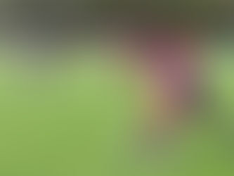 Football - Régional 3 : le FC Mandorais fait la différence face au CA Pithiviers