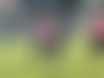 Football - Aurélien Bonnici (FC Mandorais) : " Notre solidarité collective a fait la différence face à l’US Turcs Châlette "