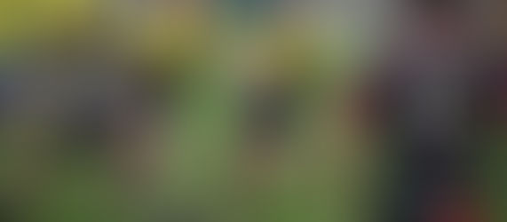 Rugby - R2 : Montargis domine largement Aubigny et franchit un nouveau cap vers la montée...