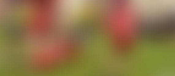 Rugby : Montargis - Esvres, une demi-finale « événement » pour le bouclier régional, le 26 avril, à Champfleuri