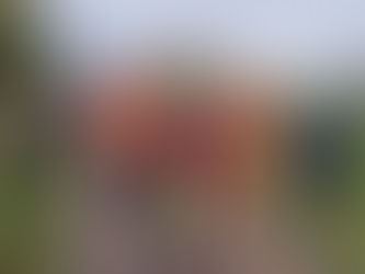 Résultats du week-end sportif : samedi 25 et dimanche 26 octobre