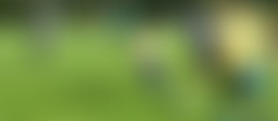 Football : Montargis à Ingré ce samedi soir pour faire durer le suspense en Régional 2