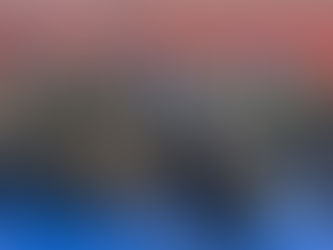 Pancrace - Un championnat régional fructueux et historique pour Montargis, au gymnase Madeleine-Joseph