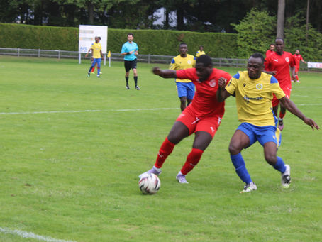 Football : scenario catastrophique pour Montargis et Amilly en R2, le nul pour Villemandeur en R3, le top pour les Châlettois en D1
