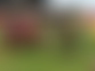 Rugby : Montargis visera un 13e succès ce dimanche devant son public face à l’Ovale Club Sancoins