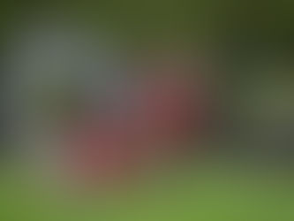 Rugby : Montargis défiera, le 18 mai, le RC Saint-Genès-Champanelle en 32 de finale des championnats de France