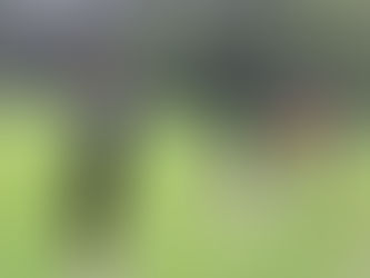 Football : Coupe de France (2e tour) : trois clubs gâtinais valident leur billet pour le prochain tour...