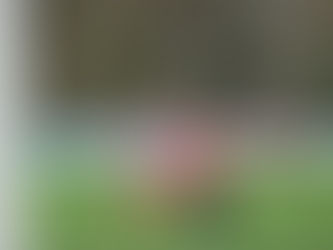 Football : dimanche cruellement compliqué pour Montargis et le FC Mandorais en Régional 2 et Régional 3