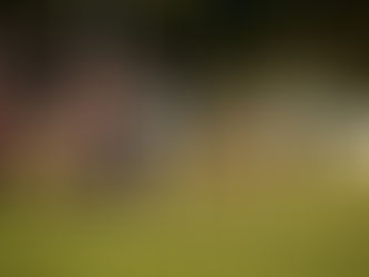 Rugby : Montargis bat Fleury et prend le pouvoir en Régionale 2