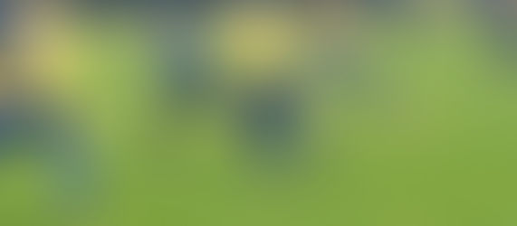 Football : Montargis arrache miraculeusement le match nul à Saint-Pryvé/Saint-Hillaire en R2