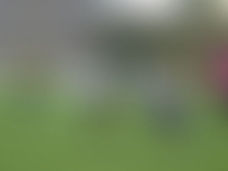 Résultats du week-end sportif : samedi 4 et dimanche 5 octobre