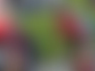 Cyclisme : le Châlettois Louis Hardouin remporte la 4e étape des Boucles de la Charente-Maritime