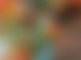 Football - Le photographe montargois Malick Diop à la CAN, en Côte d'Ivoire