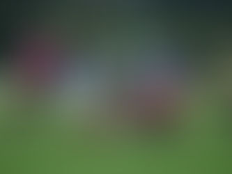 Rugby - Régionale 2 : Montargis en grande réussite à Saint-Pierre-des-Corps