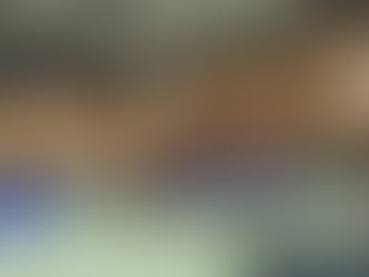 Agenda du week-end sportif : 23 et 24 novembre