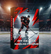 ___Puck Handling Program Box Program Pic___edited.jpg