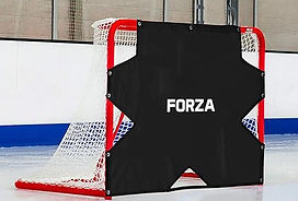 Net Target Pic.jpg
