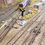 Thumbnail: N Gauge 3 Aspect With Ring Dummy Signal (Non Working)
